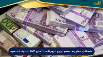 «استقرار مفاجئ».. سعر اليورو اليوم الأحد 11 مايو 2025 بالبنوك المصرية